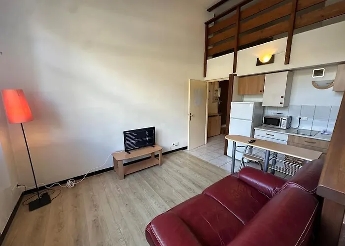 Appartement Quais De Grenoble